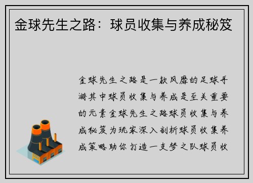 金球先生之路：球员收集与养成秘笈